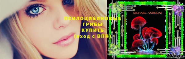 ешки Майский