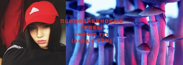 крисы Магас