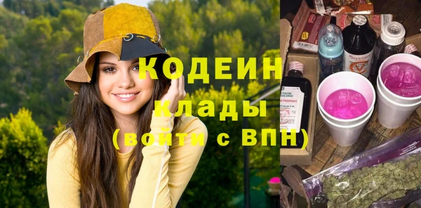 крисы Магас