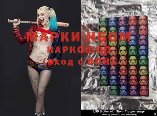 крисы Магас